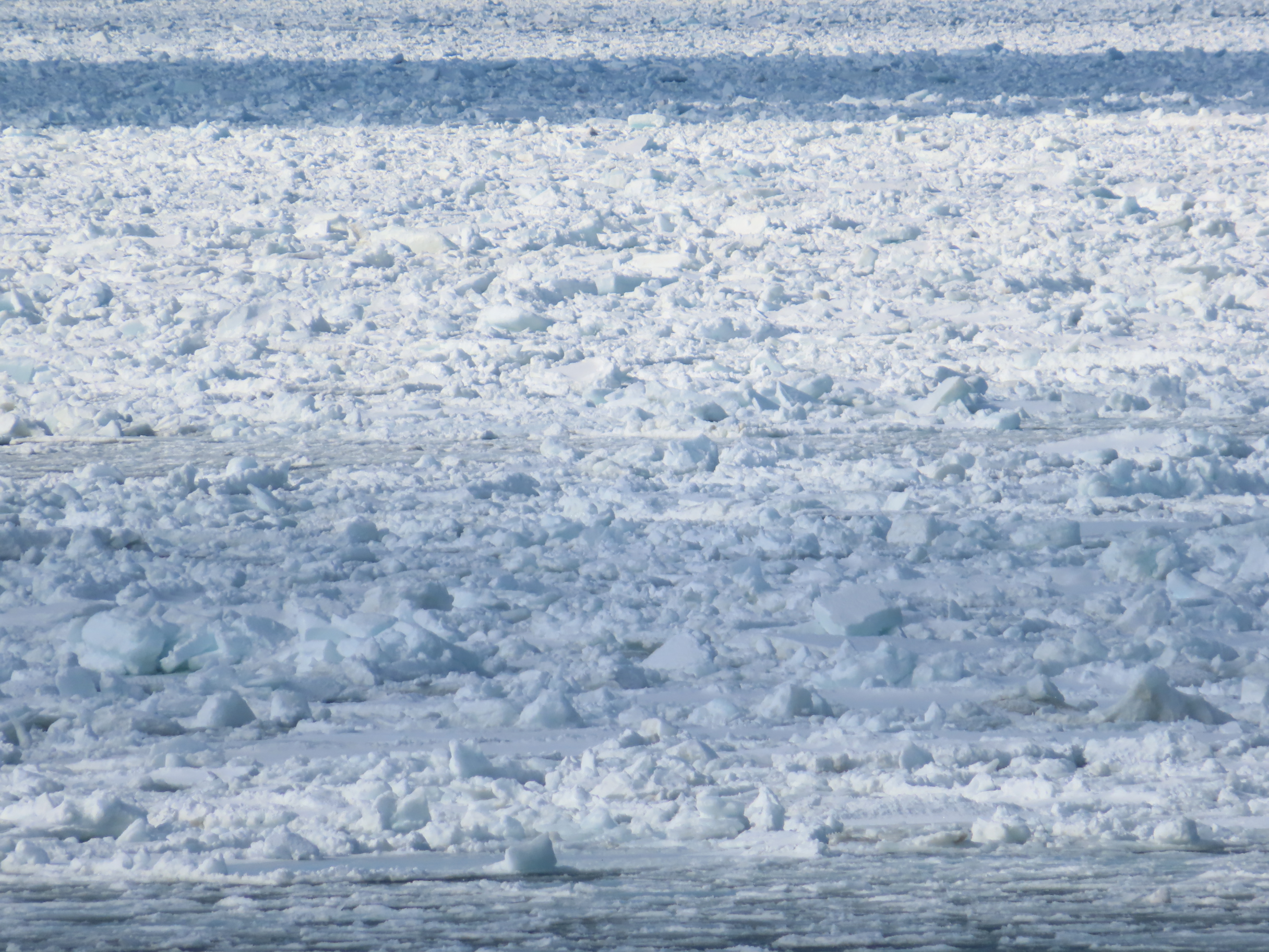 流氷の画像