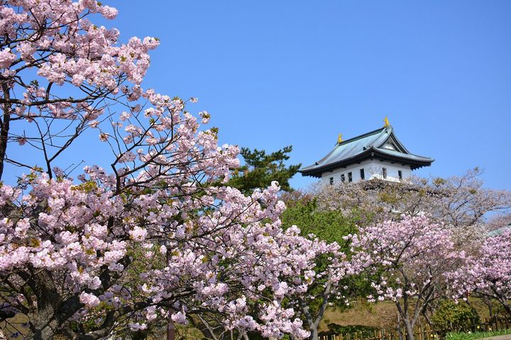 松前城の画像